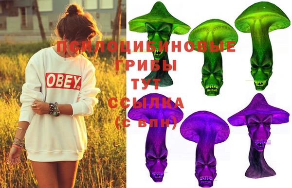 стаф Нея